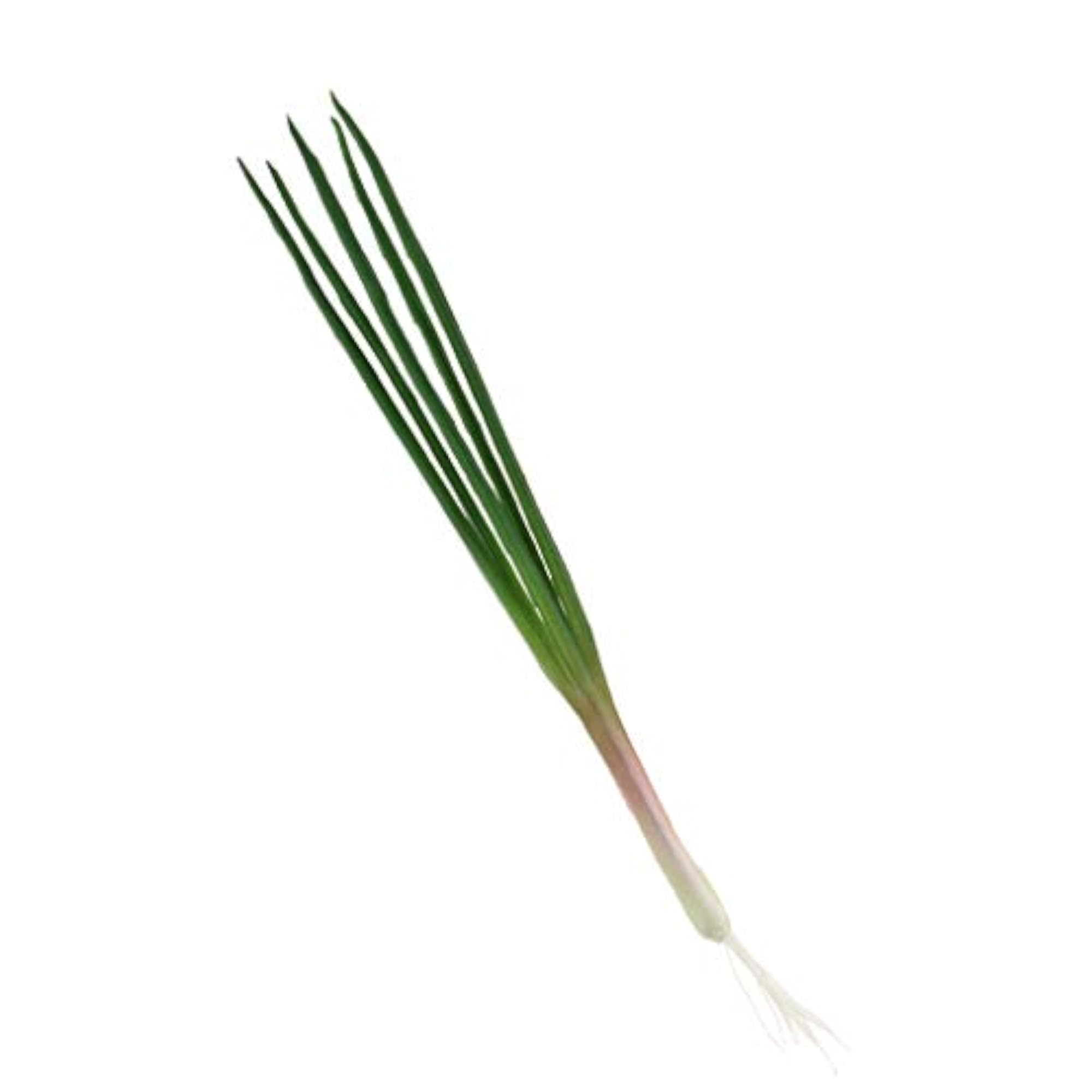 Artificial Vegetable Display Shallot for Kitchen Decor